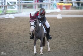 Successo per la Coppa delle Regioni e Trofei di Dressage