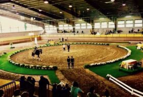 Volteggio: al Circolo Ippico Monzese il 1° corso di preparazione del cavallo alla longia