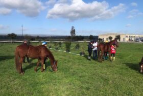 Endurance Pony: le giovanissime amazzoni dominano il campionato regionale