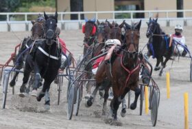 Arcoveggio: domenica 10 dicembre – corse, eventi e spettacolo di Burattini all’ippodromo