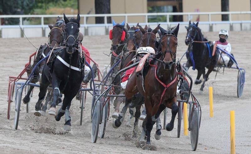 Arcoveggio: domenica 10 dicembre – corse, eventi e spettacolo di Burattini all’ippodromo