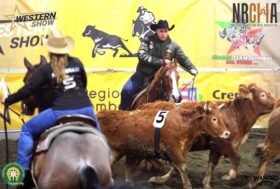 Ranch Sorting: l’European Western Show, un vero successo!