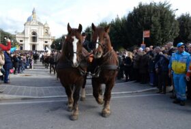Sant’Antonio e la Benedizione degli Animali. 17 Gennaio una data a cavallo tra sacro e profano