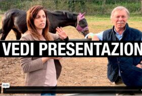 Segui i Corsi online del Portale del Cavallo! con docenti e professionisti accreditati, dedicati alla salute e al benessere di cavallo e cavaliere.