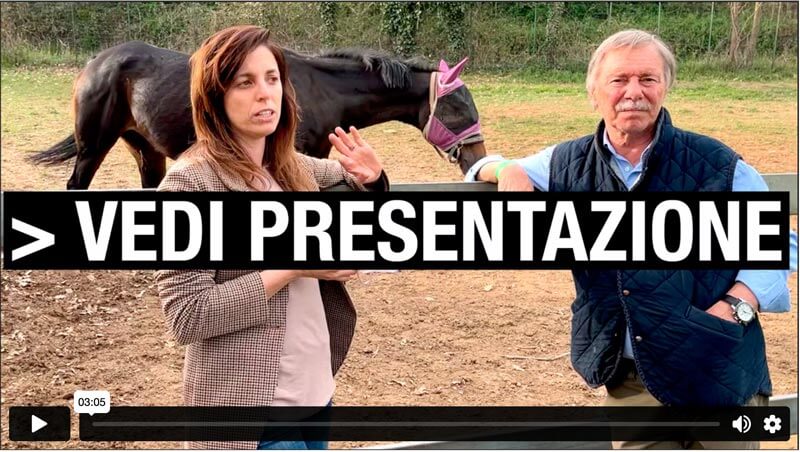 Segui i Corsi online del Portale del Cavallo! con docenti e professionisti accreditati, dedicati alla salute e al benessere di cavallo e cavaliere.