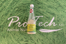 Dalla Pro Tech, NUTRICOL il nuovo colostro per puledri