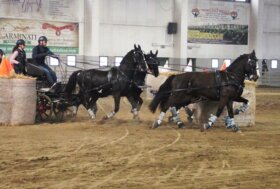 Grande successo di partecipazione al Trofeo INDOOR in occasione del 50esimo anniversario del G.I.A.