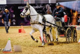 Attacchi sicuri in Fieracavalli