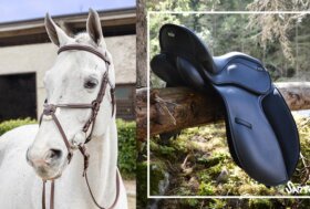 Approfittane! Tessera Premium da 12% al 20% Extra | 10% Extra Sconto a tutti codice SALDI24