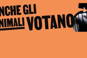 Elezioni europee 2024, 12 organizzazioni italiane lanciano il manifesto “Anche gli animali votano”