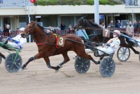 Ippodromo Arcoveggio: presentazione delle corse di giovedì 29 febbraio