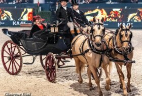 Attacchia a Verona: Nel Gala d’Oro ARTè