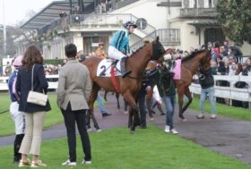 All’Ippodromo SNAI San Siro un altro bel sabato tra corse, intrattenimento e il tour per scoprire le bellezze dello storico impianto milanese