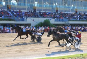 Arcoveggio: domenica 24 marzo Finale Campionato Italiano Gentlemen con gemellaggio sportivo ippica e ciclismo