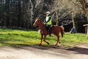 Endurance: Nonne, Mulas e Mallei in evidenza a Bultei nella 2a tappa Coppa Sardegna organizzata da Fise e Asvi