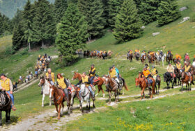 Esplorare le bellezze dei parchi a cavallo, 22 tappe attraverso le aree protette italiane