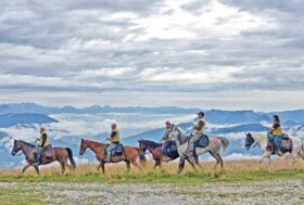 Esplorare le bellezze dei parchi a cavallo