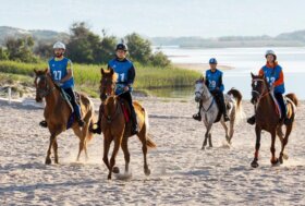 Sport equestri: l’agenzia regionale Asvi è ancora bloccata, saltano le gare, a rischio l’Internazionale di Endurance valida per la qualificazione al Mondiale