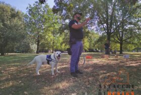 ATTACCHI DI DESIGN 2024