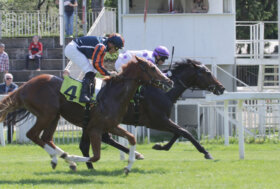 All’ippodromo SNAI San Siro nel sabato riservato ai puledri Grido di Liberta nel maschile e Selfish nel femminile portano a casa il Premio Mimma Werner e il premio Razza Ceserio