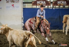 Salone del Cavallo Americano, 24-26 maggio 2024
