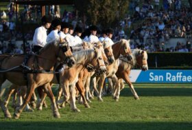 20 volte Piazza di Siena: con il Carosello del San Raffaele Viterbo torna in campo il binomio vincente tra sport e inclusione