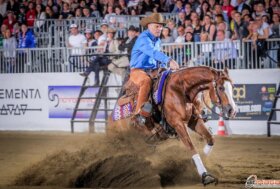 Salone del Cavallo Americano 2024: un passo avanti nella storia