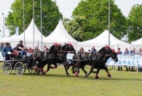 Grande Kermesse degli Attacchi a Travagliato Cavalli