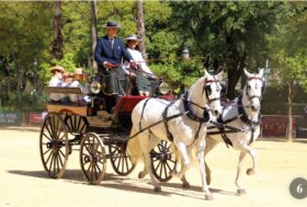 Attacchi che meraviglia! Decima Edizione del CIAT “Ciudad de Sevilla”