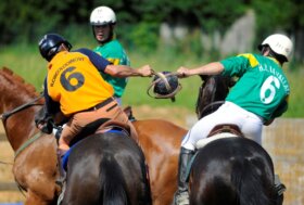 Campionato Italiano Senior Misto Horse-Ball