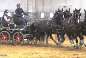 Sport a tutto campo: L’Amatoriale riparte “alla grande”