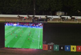 Sabato all’ippodromo Snai Sesana per tifare Italia e per lo spettacolo del trotto