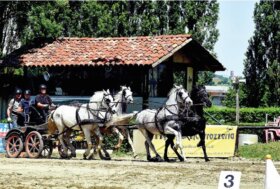 Attacchi: Il Fascino di una “notturna”