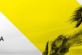 Nasce PLAY OFF, il concorso nazionale 5* di qualificazione al 126 Gran Premio Fieracavalli