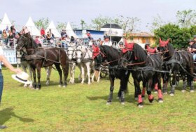 Sport a tutto campo: 2° Trofeo “Città di Travagliato”