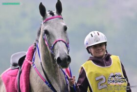 Martina Pisano e Zagaia dei Laghi ai Campionati Europei Junior & Young Rider 2024