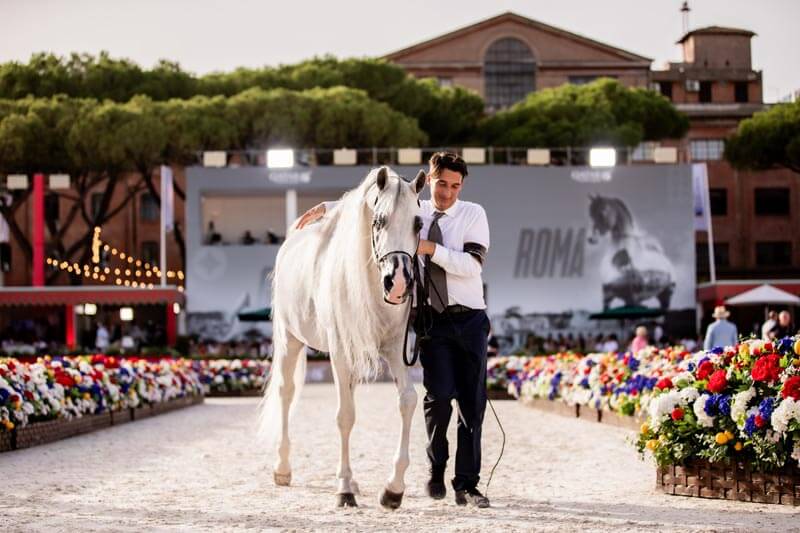 Roma, il Global Champions Arabians Tour culmina tra vittorie spettacolari e tante celebrità