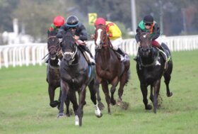 Il mercoledì di galoppo all’ippodromo SNAI San Siro premia Sopran Pechino che vince il premio Riccardo Zanocchio