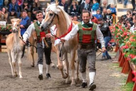 Haflinger Festival 150° Anniversario. Sluderno (BZ) 1874-2024