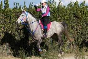 Endurance: Martina Pisano confermata alla FEI Endurance European Championship Young Rider e Junior