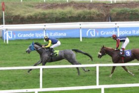 All’ippodromo Snai San Siro mercoledì di galoppo su una pista pesante con Gray Chance che vince la maiden per lo Schiapparelli e Shesolucky che fa sua la prima nursery della stagione a Milano