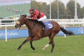 Nel mercoledì di galoppo all’Ippodromo Snai San Siro Piazzadram si aggiudica il Premio Dormelletto