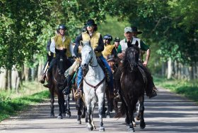 Fieracavalli: Final Furlong promotore di marketing territoriale con al centro il cavallo