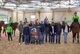 Cantiano Fiera Cavalli: il 13 e 20 ottobre cavallo del Catria, spettacoli equestri e attrazioni per tutta la famiglia