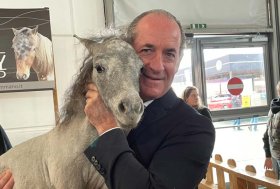 Pet Therapy: i mini pony più piccoli al mondo (62 cm) saranno a Fieracavalli