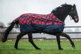 Fantasie Particolari e Nuovi Colori Pronta Consegna! Ecco le Nuove Coperte da Paddock