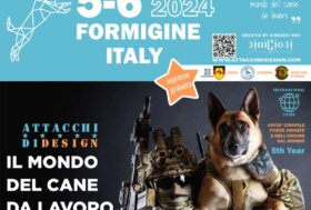 Attacchi di Design 2024