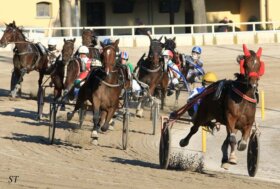 Arcoveggio: domenica otto corse con centrale sulla distanza “maratona”