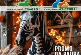 Promo da Paura 👻 Usa Subito gli sconti su ciò che vuoi… 🎃