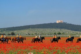 Fieracavalli: turismo equestre in crescita con 21.000 equituristi e 7.000 km di ippovie certificate